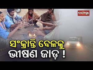 Coldest Phase of Winter Anticipated Around Makar Sankranti in Odisha | Kalinga TV
