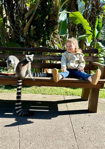 276K views · 12K reactions | Grace teaching us all the rules of the #AustraliaZoo lemur island. Her kind heart lights up the world.  | Bindi Irwin | Facebook