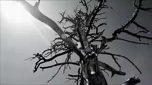 1.5M views · 63K reactions | Don't. Even. Try. | Undertaker | Facebook