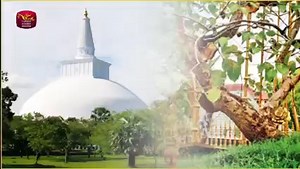 1.1K reactions · 25 shares | ශ්‍රී ලංකා ඉන්ෂුවරන්ස් මඟින් 32 වසරක් පුරා අඛණ්ඩව සිදුකරන පොසොන් ප්‍රජා සත්කාර වැඩසටහන මෙවරත් අනුරාධපුර පූජා නගරයේ සිදු කෙරේ. #SLIC #PosonPoya | Sri Lanka Insurance Life | Facebook