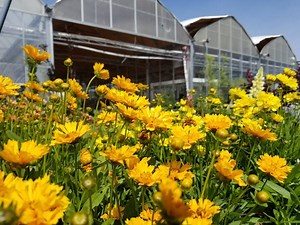 How to Build a Garden Pulling Tractor: A Step-by-Step Guide