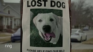 Ring Search Party Super Bowl 2026 TV Spot, 'Be a Hero in Your Neighborhood'