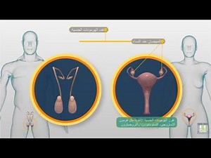 الهرمونات وانواعها والغدد