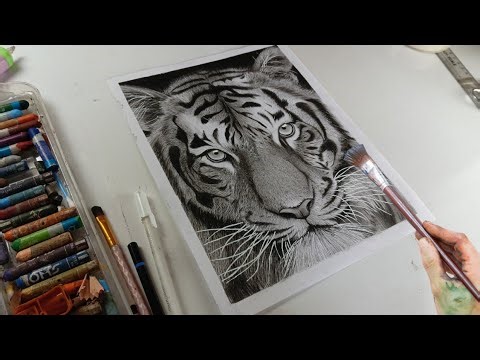 Tiger drawing with charcoal pencil 🖌️🎨🎨|how to draw a tiger sketch |suresh k arts tiger drawing