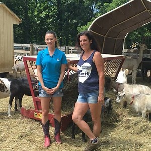 19 reactions | Filming LIVE today @barnyardsanctuary with @littlethingsusa. All the videos can be seen on their Facebook page! | The Barnyard Sanctuary | Facebook
