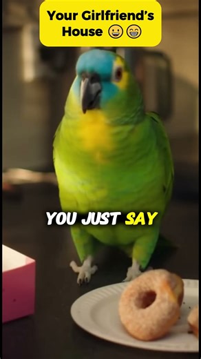 Police Interrogate Larry the Parro | At Your Girlfriend’s House” 🦜😂 #shorts #ai #parrot #cops