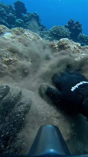 POV Deep Sea Gold Coins Hidden in Ocean Rock