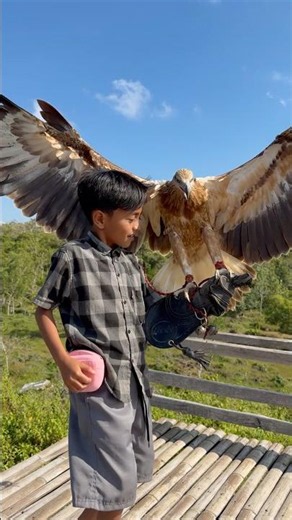 the beautiful friendship between the boy Tarzan and his big eagle