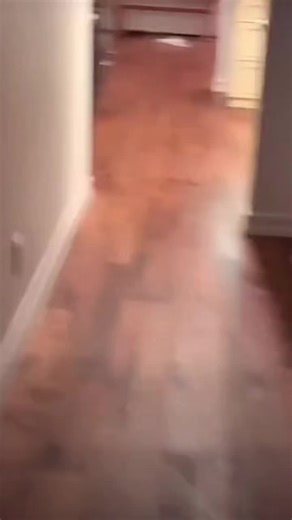 Funny Scare Prank Reaction