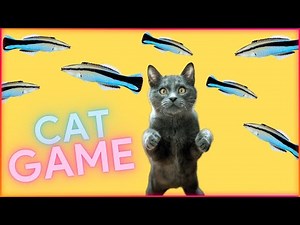 Cat games - catching fish - videos for cats to watch and fun, games for cats on screen 😺🤣