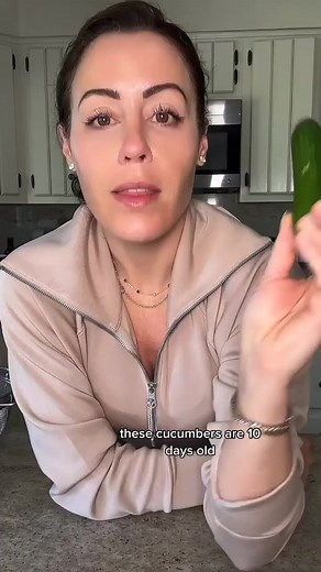 4.6M views · 10K reactions | My Money Saving Cucumber Storage Tip! 勒 #producestorage #budgetgrocerytips #budgetgroceries #foodblogger #cheftips #kitchenhacks | Kat Can Cook | Facebook