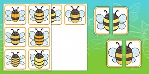 Bee Symmetry Matching Cards