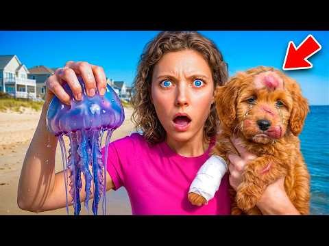 My DOG got STUNG... **DEADLY JELLYFISH**