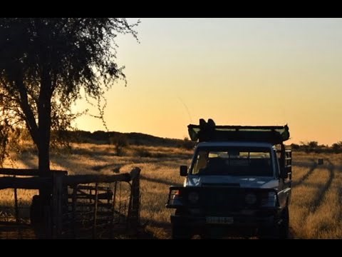 Kalahari Springbok Hunt at Elandspan with a 22-250 caliber rifle