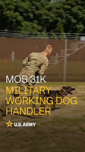 🐾 Beware of Dogs! 8th Theater Sustainment Command Military Working Dog handlers and their 🐕 K9 partners are a critical force multiplier across the U.S. Indo-Pacific Command. From detecting threats and securing key facilities to supporting patrols and joint missions, these teams bring unmatched precision, protection, and capability to every environment. | U.S. Army Pacific