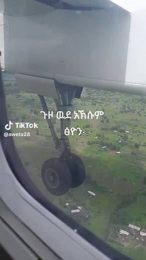 aweta (@aweta28)’s videos with original sound - Abrham bzay