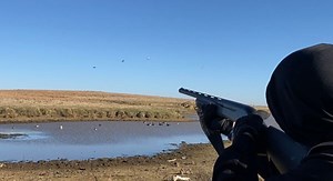 Pump-Action vs. Semi-Automatic: Waterfowl Hunting Shotgun Showdown
