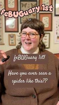 Have you ever seen a spider like this??