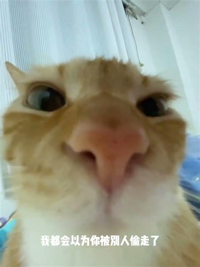 Reply Fast or Risk Losing Friends! MessageSpeed Friendship Essential