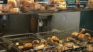 The bagel terms you should know