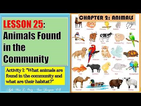 SCEINCE IV | Lesson 25: Animals Found in the Community