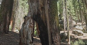 Video by RDNE Stock project on Pexels