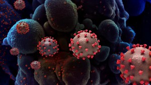 How SARS-CoV-2 Works | Cell And Molecular Biology