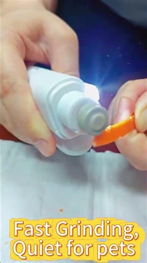 BVQWO 2 IN 1 Pet Nail Grinder LED #DogNailGrinder #PetGrooming#amazonfinds#amazon#amazongadgets