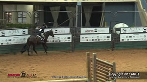 Better Buy The Minit and Linda Crothers take the gold in senior working hunter! AQHA judge David Warner breaks down their run and what it took to be named world champions at the Lucas Oil World. #AQHAWorldShow #GetThatGlobe | American Quarter Horse Association