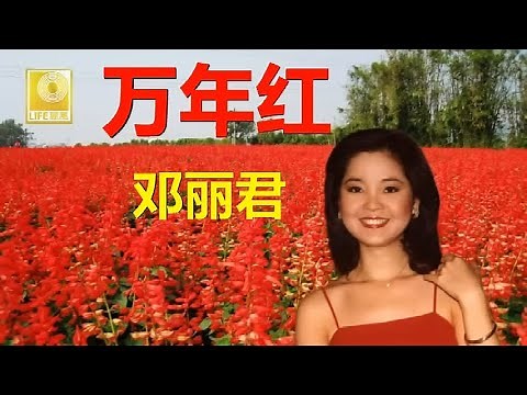 邓丽君 Teresa Teng - 万年红 Wan Nian Hong (Official Lyric Video)