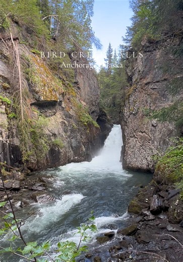 Bird Creek Falls is 3.7-mile out-and-back trail near Anchorage. This is a easy trail and took us about an 1.5 hours to complete. #alaska #waterfall #Home #alaskalife #hike