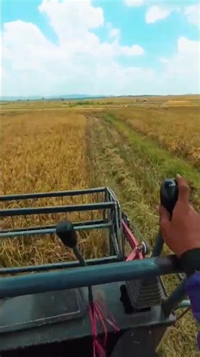 MAXXI ||#maxxibimo #maxxibimoterbaru #combineharvester #maxxibimo102standar #automobile #combinepadi