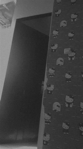 selti (@selti63)’s videos with orijinal ses - netdmüzik