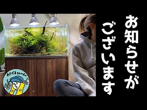 【お知らせ】NHKテレビ番組の美の壺に出演させて頂きます！（2020年11月13日金曜のNHKBSプレミアム19時30分から20時デス）