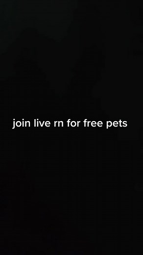Ez pets for you so join live