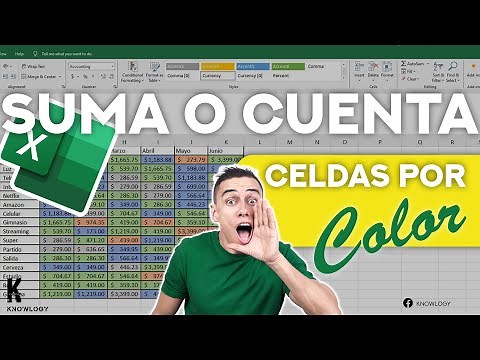 How to count or sum data by color in Excel