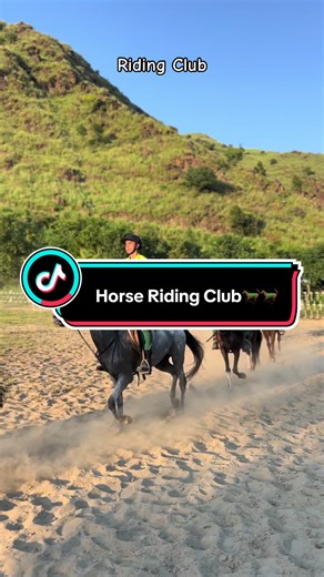 Explore Our Horse Riding Club for Enthusiasts