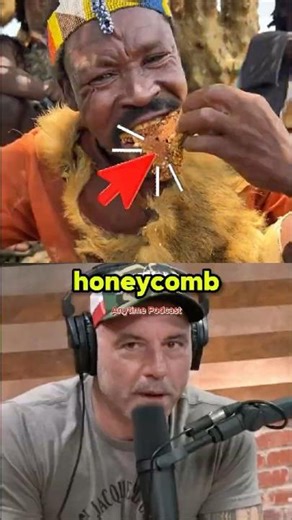 Joe Rogan Shocked by Tribe Eating Live Honey Bees 🐝 #shorts #joerogan