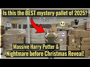 Is this the BEST mystery pallet of 2025? Massive Harry Potter & Nightmare before Christmas Reveal!