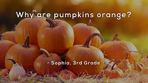13 reactions | Are your kids wondering: "Why are pumpkins orange?" This question came from Sophia, a 3rd Grader from the US. Like, share and vote on next week's question here: https://mysterydoug.com/vote | Mystery Doug | Facebook