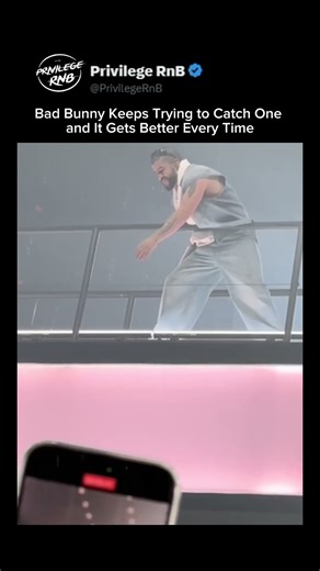 Bad Bunny Keeps Trying to Catch One and It Gets Better Every Time #shorts #badbunny