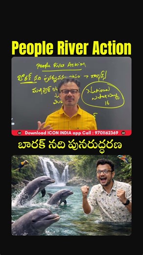 డాల్ఫిన్స్ కి స్పెషల్