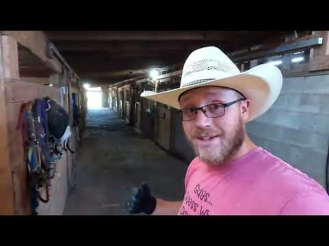 A DAY IN THE LIFE | MANAGING A HORSE BOARDING FACILITY