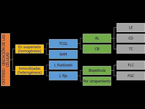 Clasificación y Tipos de Biorreactores