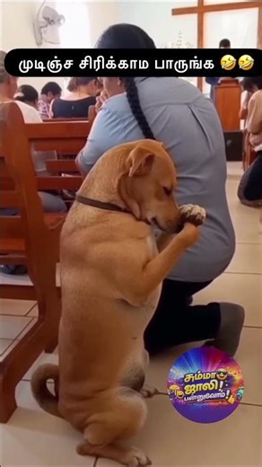 😂 #tamilmemes #shortsfeed #trendingshorts #viralmemes #memes #relatable #viral#reach#fun#comedy#1k