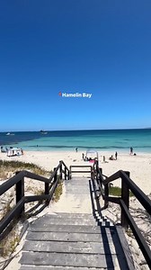 🌊 🐠 Hamelin Bay: Famous for its friendly stingrays and so much more! Just a half-hour drive from Margaret River, enjoy snorkeling, fishing, and swimming. Perfect for a day trip or a weekend getaway at Hamelin Bay Holiday Park! ✨ 📷: @perthisok #westernaustralia #australia #aussielife #travel #nature #western #hamelinbay | Aussie Life