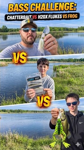 Bass Challenge: Chatterbait vs Fluke vs Frog #fishing #fishing