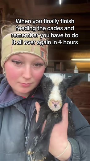 Exploring the Lambing Process for Farmers