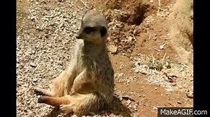 Falling asleep on Make a GIF