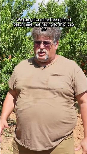 Texas Peaches 🍑| NBC DFW